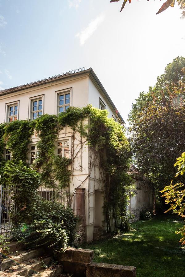 Ferienwohnung Am Dom 萨勒河畔瑙姆堡 外观 照片