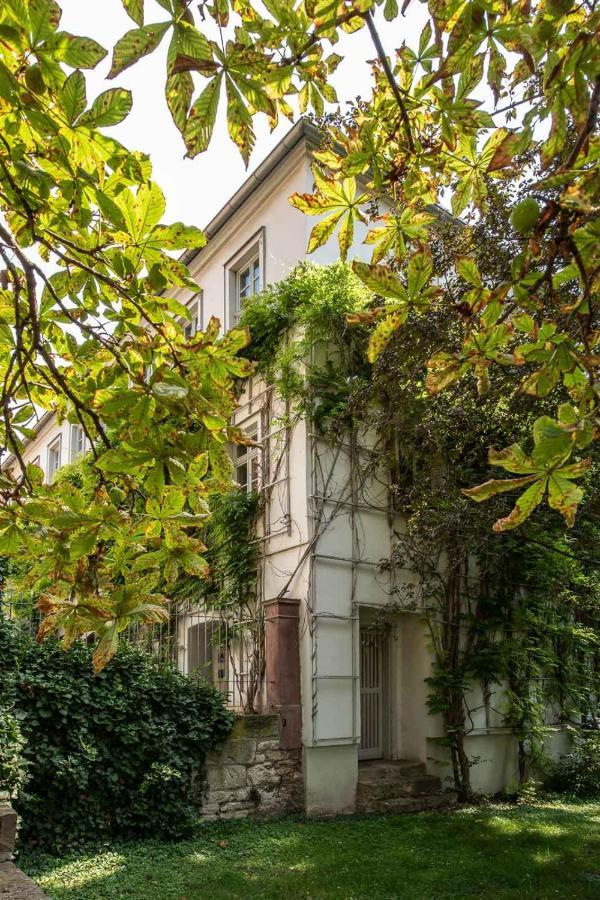 Ferienwohnung Am Dom 萨勒河畔瑙姆堡 外观 照片